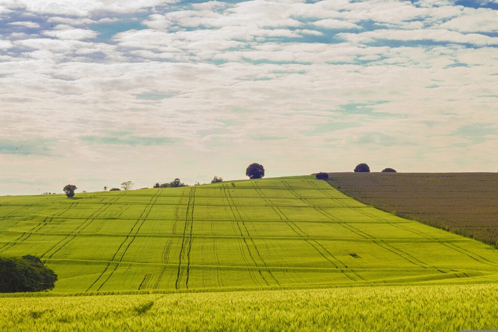 Sprzedam grunt, ziemię, działkę rolną, działkę budowlaną, działkę rekreacyjną, działkę inwestycyjną. Wynajmę tę domenę pod Twoje ogłoszenie!!